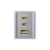 UE Electronic 65W GaN USB-C Charger