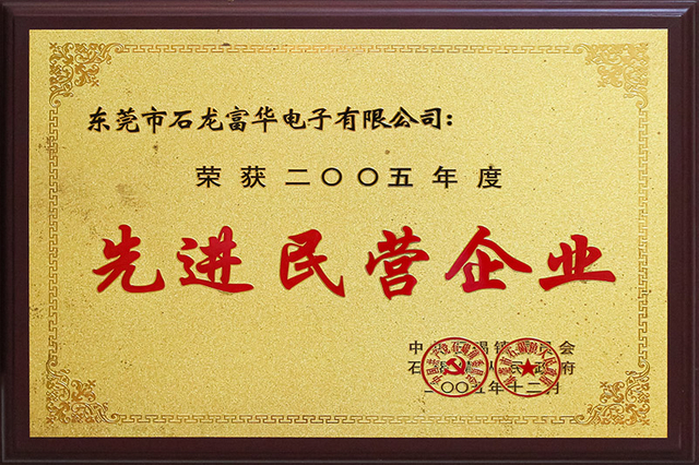2005年度先进民营企业 - 副本