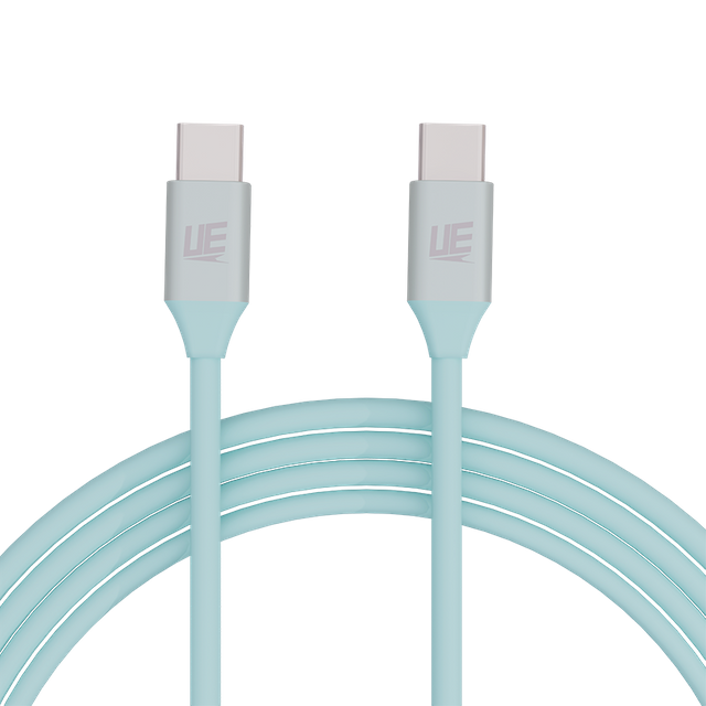 UE Electronic 100W Fast Charging USB Cable Type C to Type C