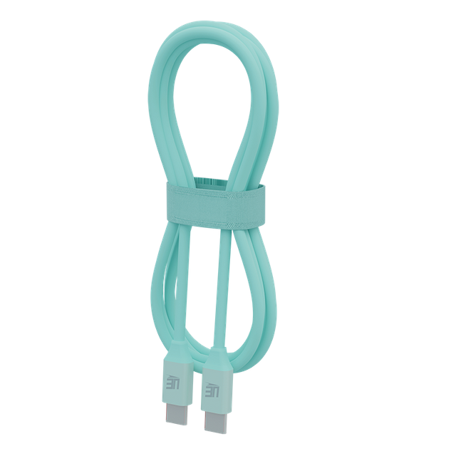 UE Electronic 100W Fast Charging USB Cable Type C to Type C