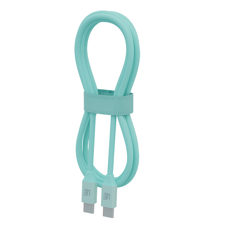 UE Electronic 100W Fast Charging USB Cable Type C to Type C